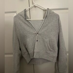 Grey lulu scuba